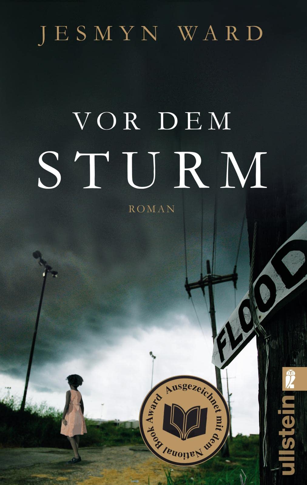 Vor dem Sturm Contemporary literature Books