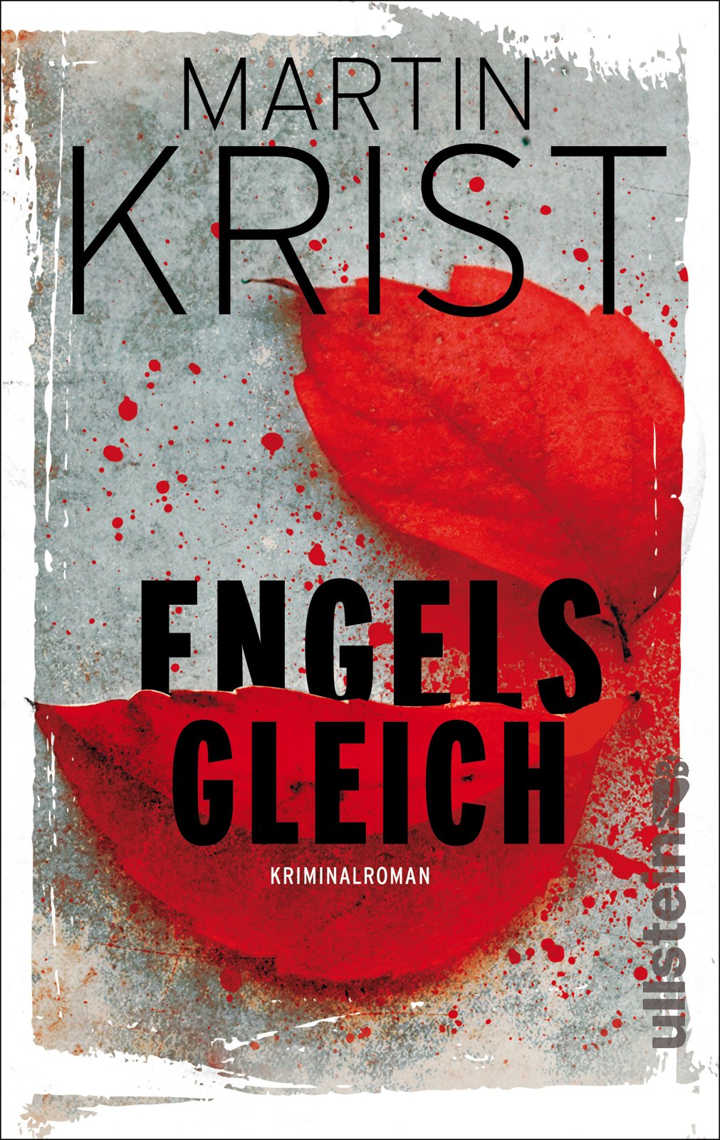 Engelsgleich Contemporary literature Books