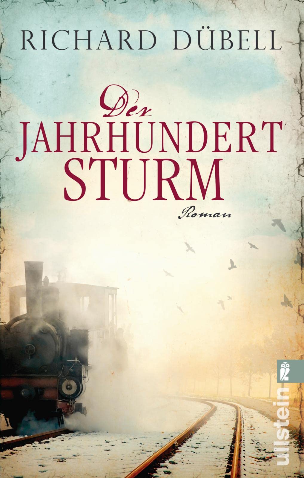Der Jahrhundertsturm Contemporary literature Books