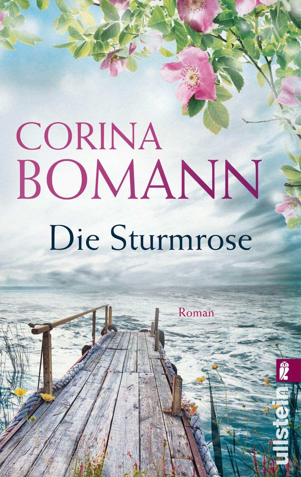 Die Sturmrose Contemporary literature Books