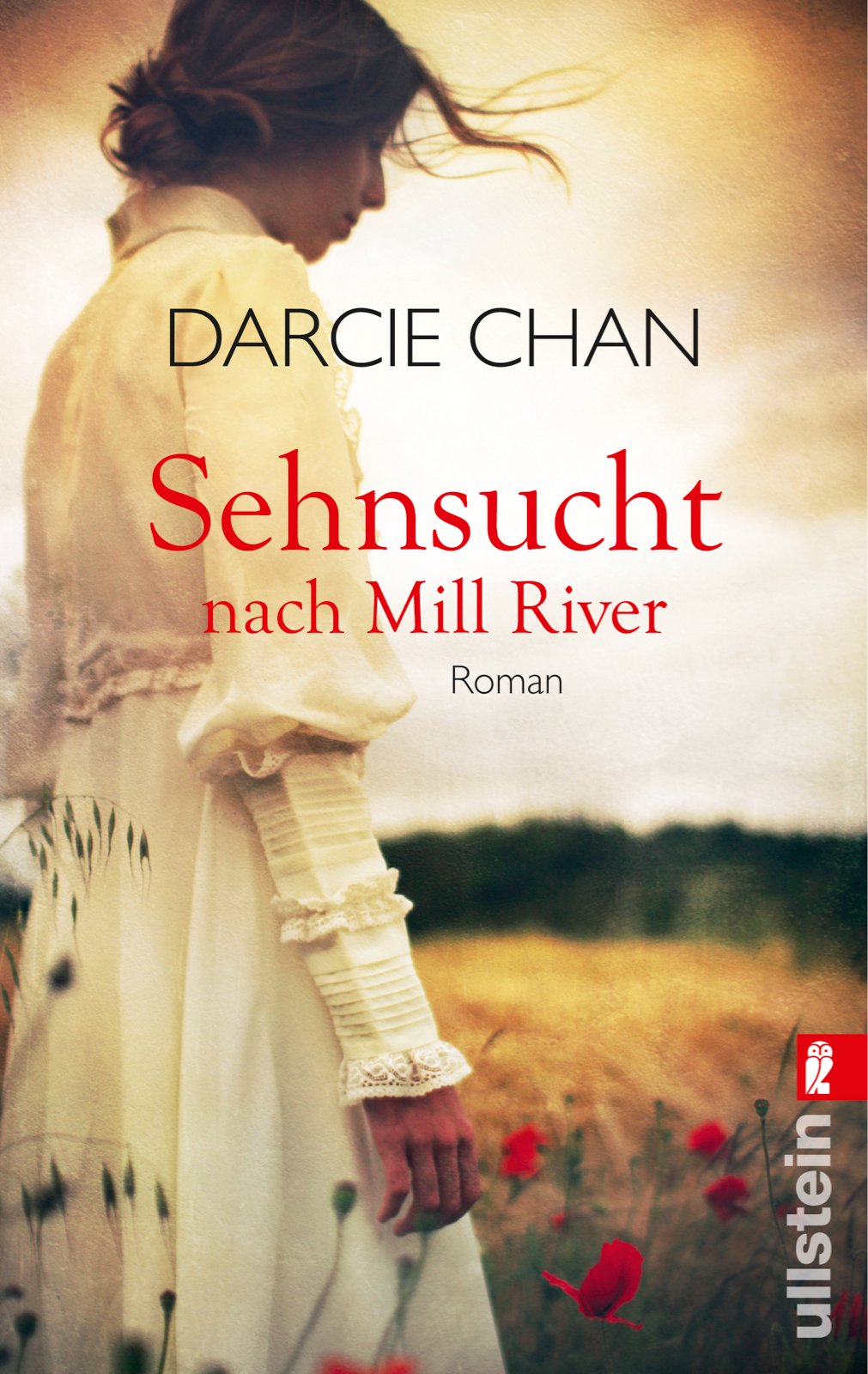 Sehnsucht nach Mill River: Roman Contemporary literature