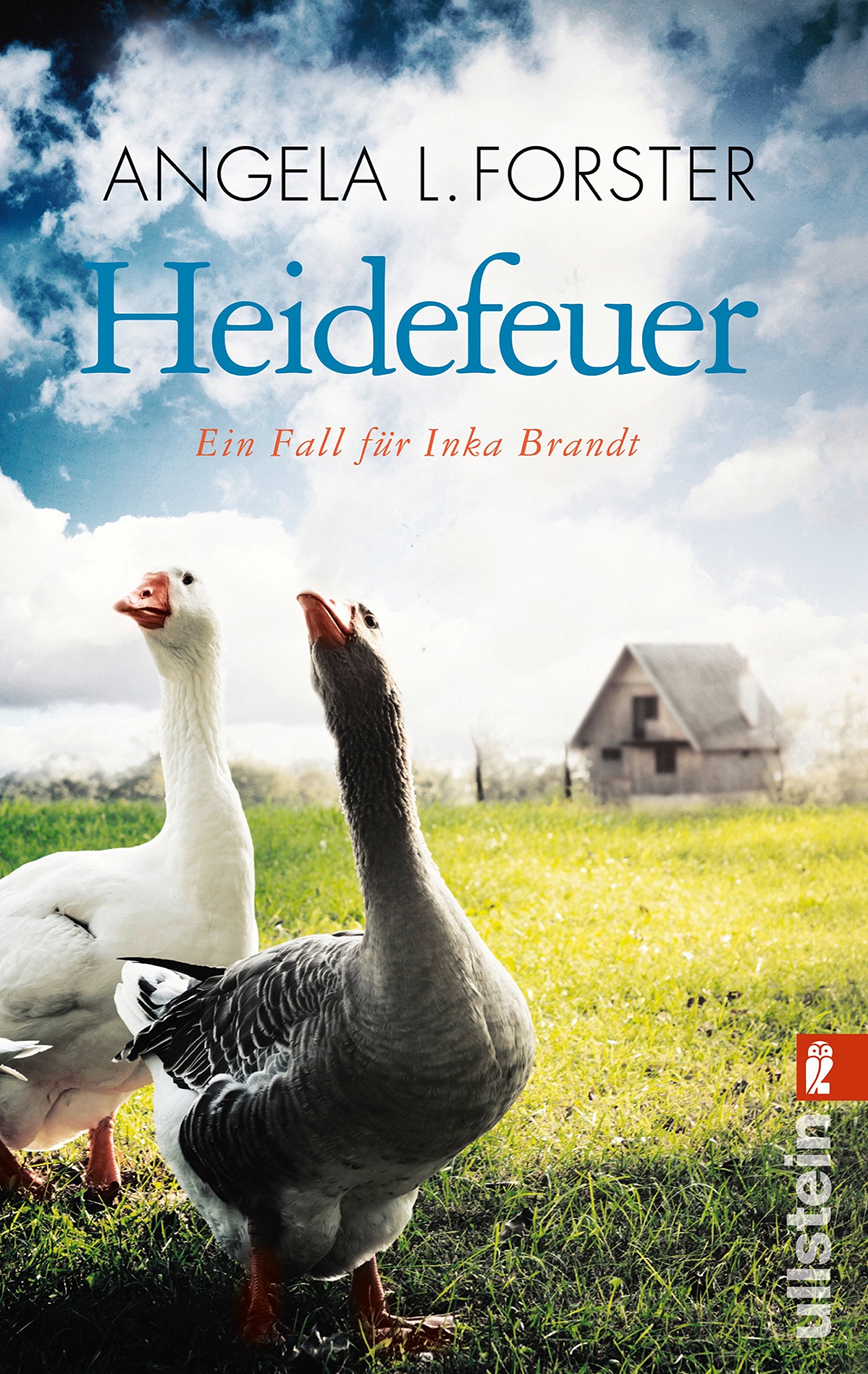 Heidefeuer Contemporary literature Books