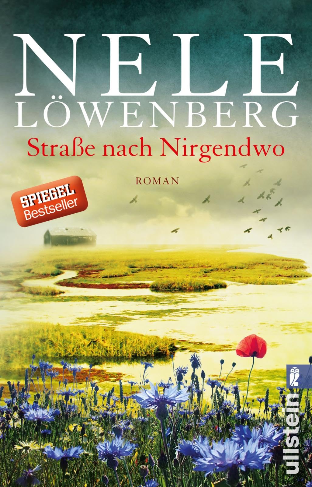 Straße nach Nirgendwo Contemporary literature Books