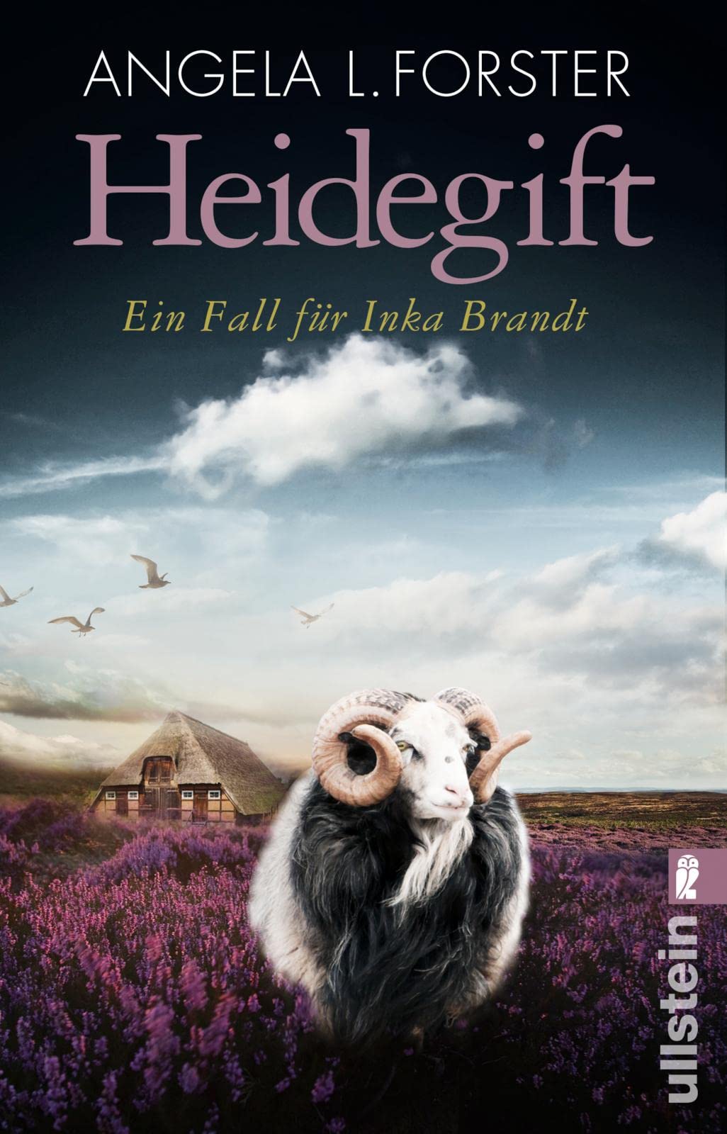 Heidegift Contemporary literature Books