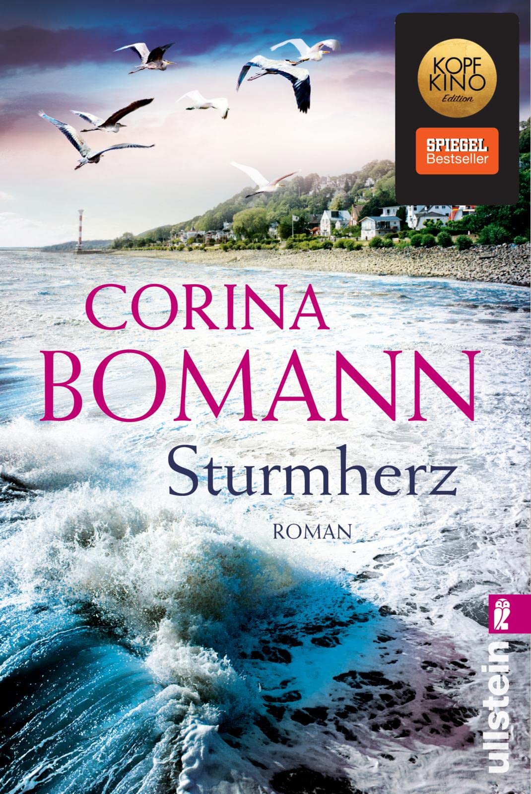 Sturmherz Contemporary literature Books