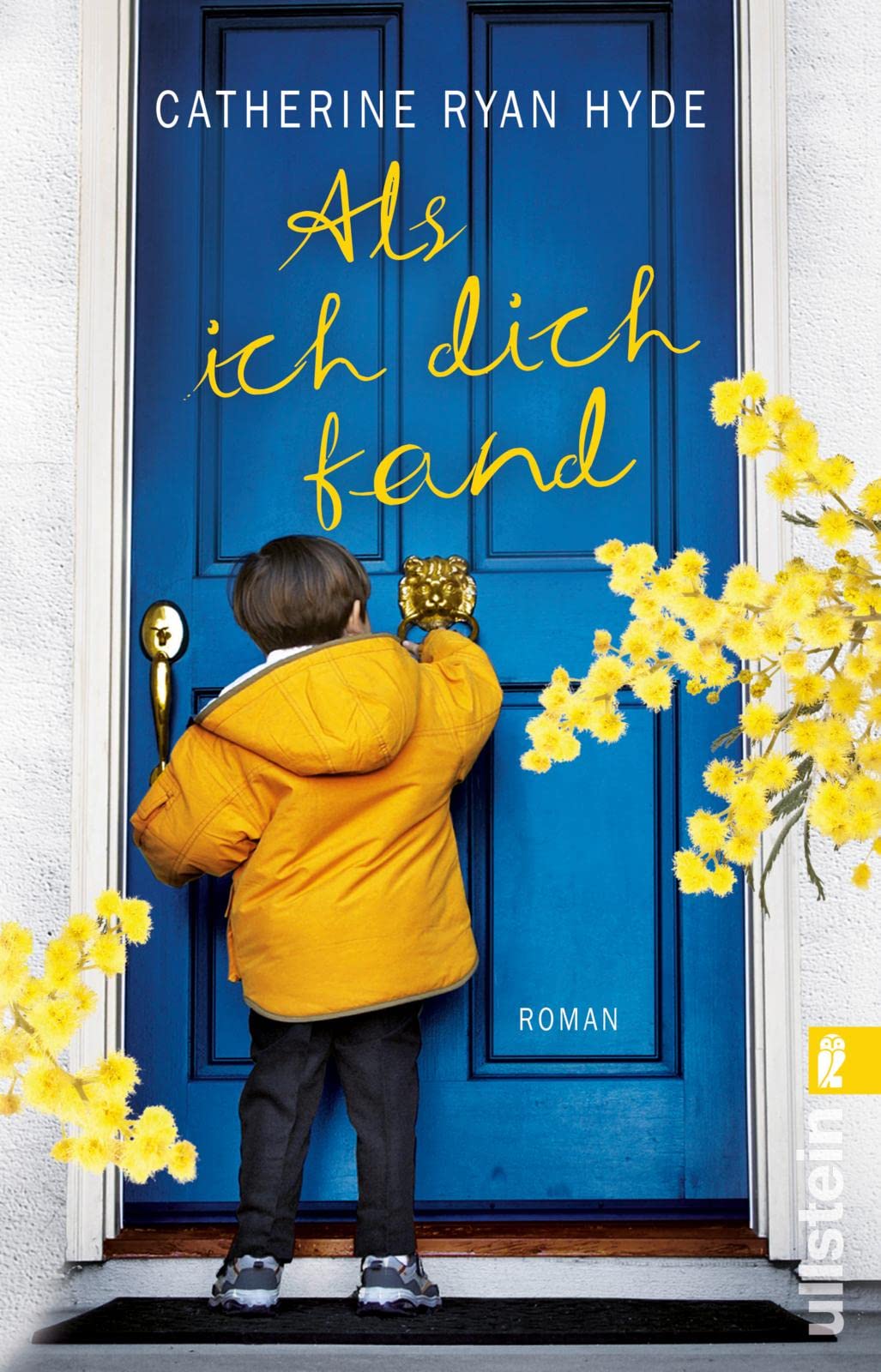 Als ich dich fand Contemporary literature Books