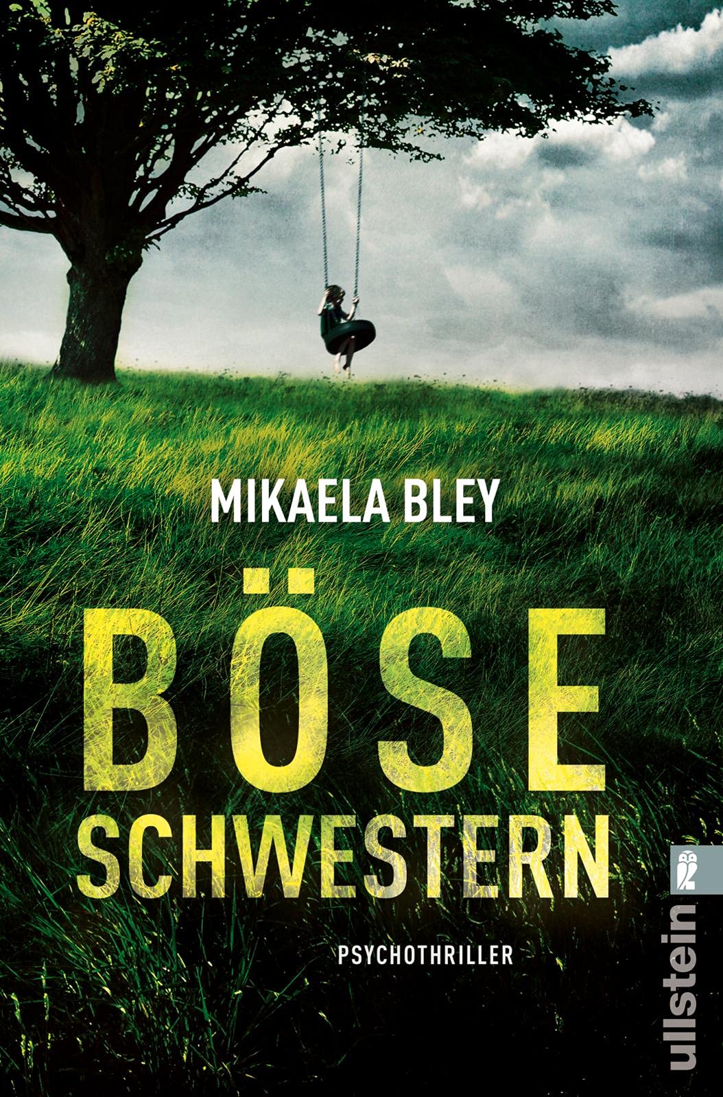 Böse Schwestern Contemporary literature Books