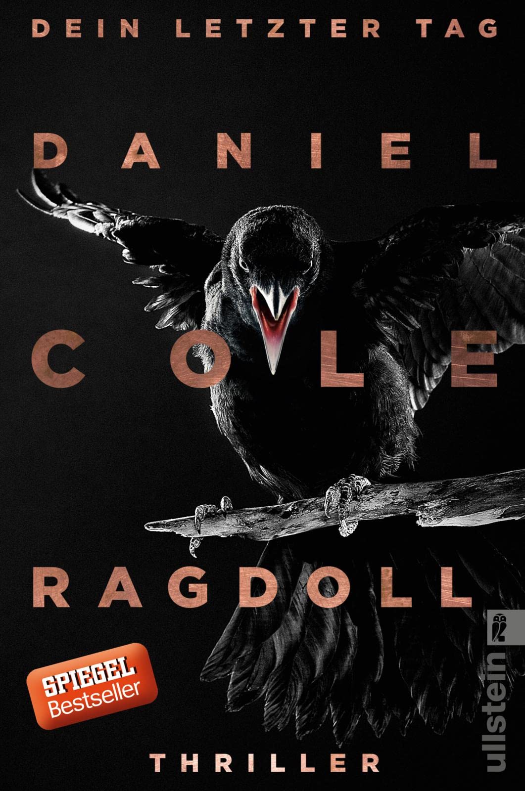 Ragdoll - Dein letzter Tag Contemporary literature Books