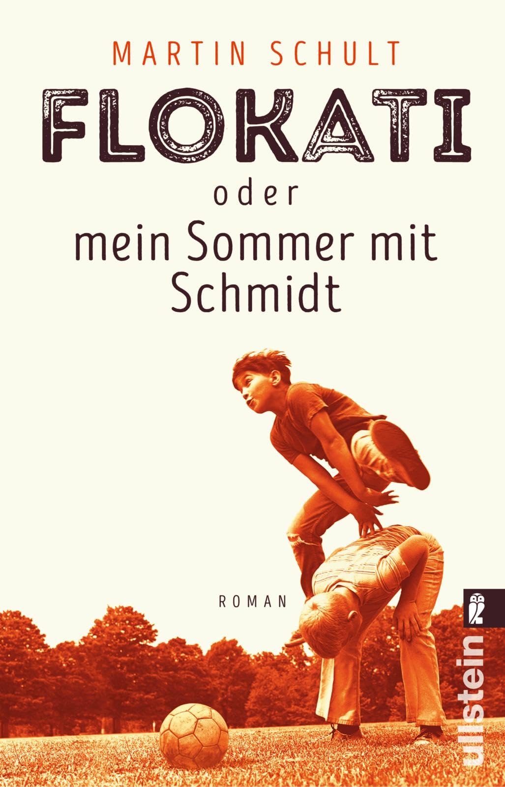 Flokati oder mein Sommer mit Schmidt: Roman Contemporary literature Books