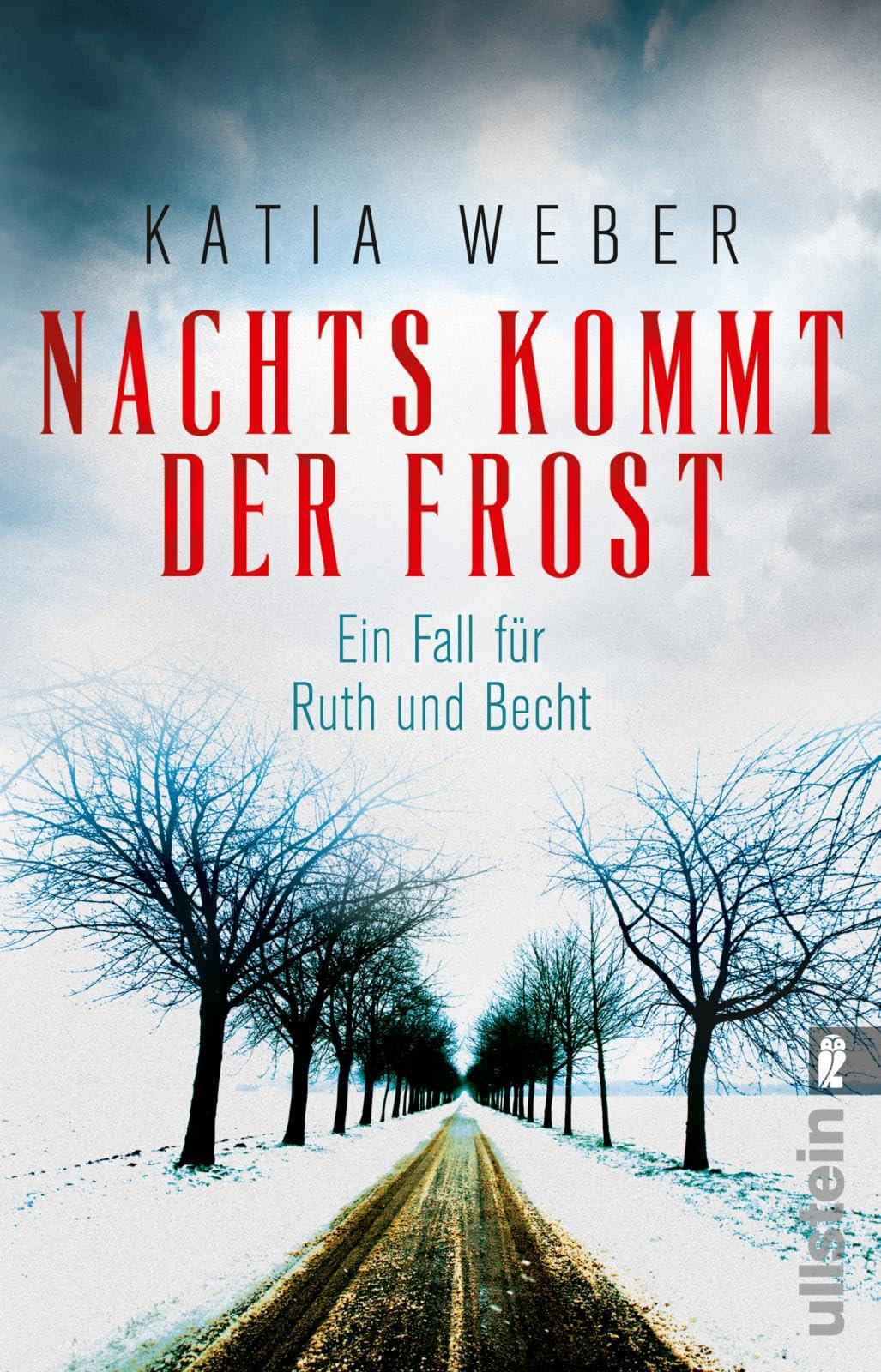 Nachts kommt der Frost Contemporary literature Books