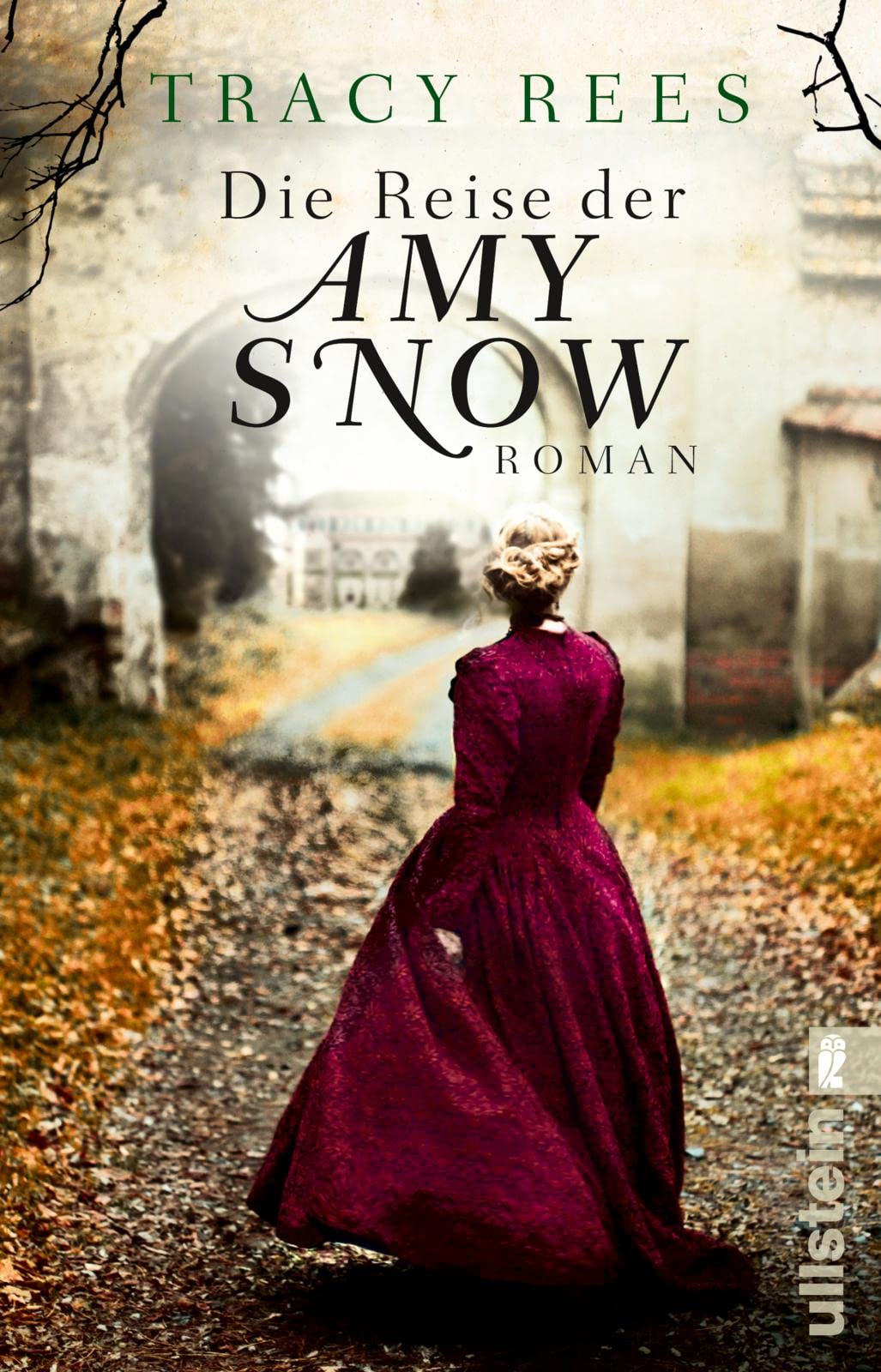 Die Reise der Amy Snow Contemporary literature Books