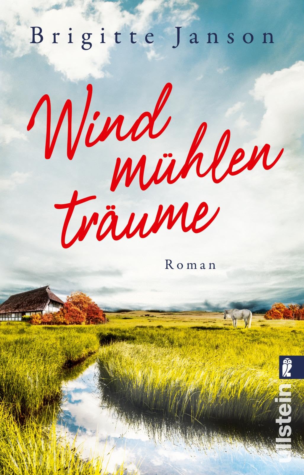Windmühlenträume Contemporary literature