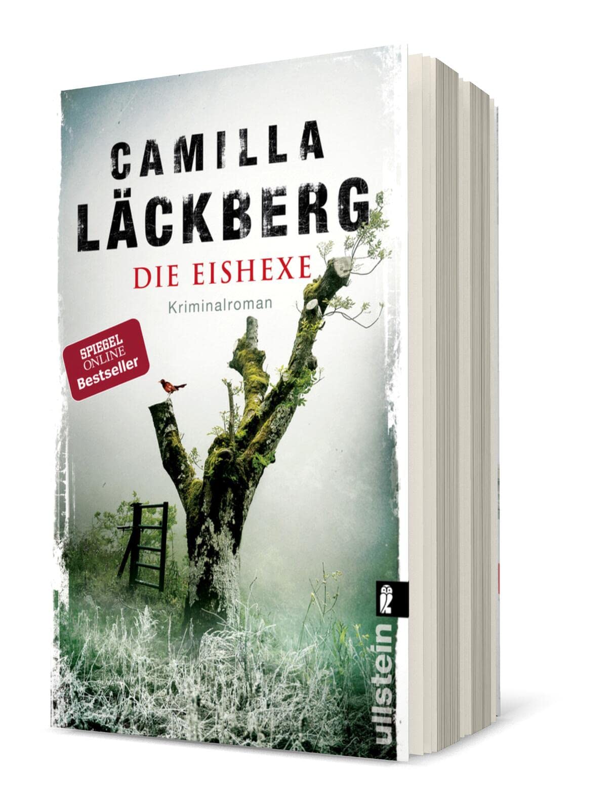 Die Eishexe Contemporary literature Books