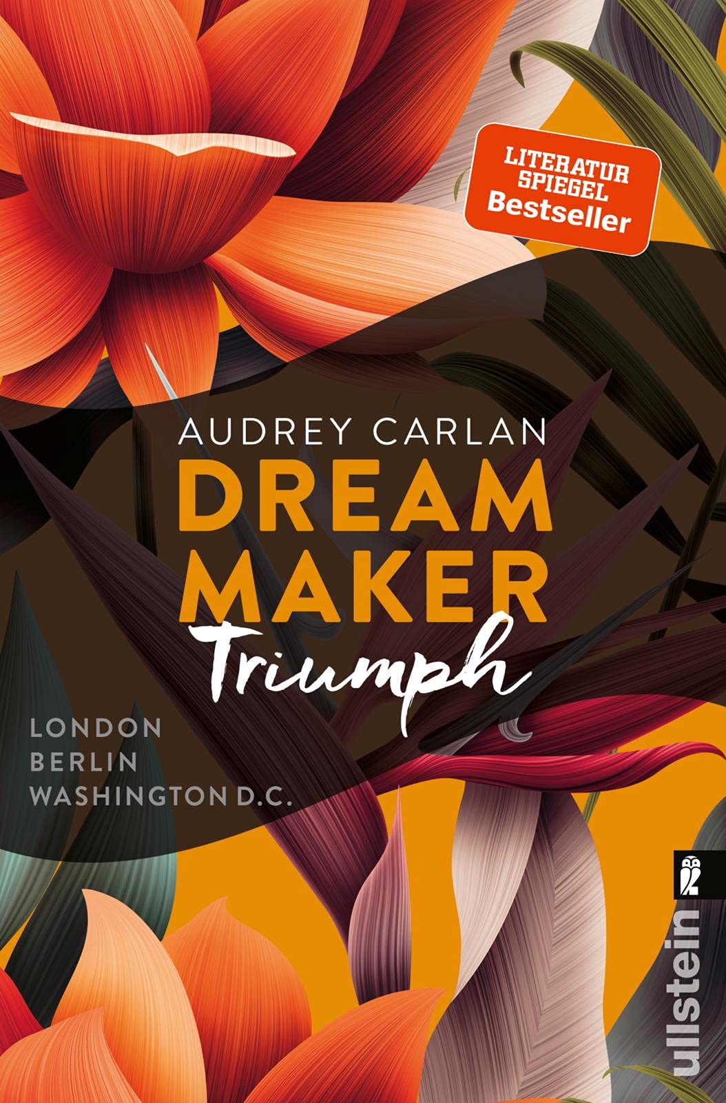 Dream Maker - Triumph Contemporary literature Books