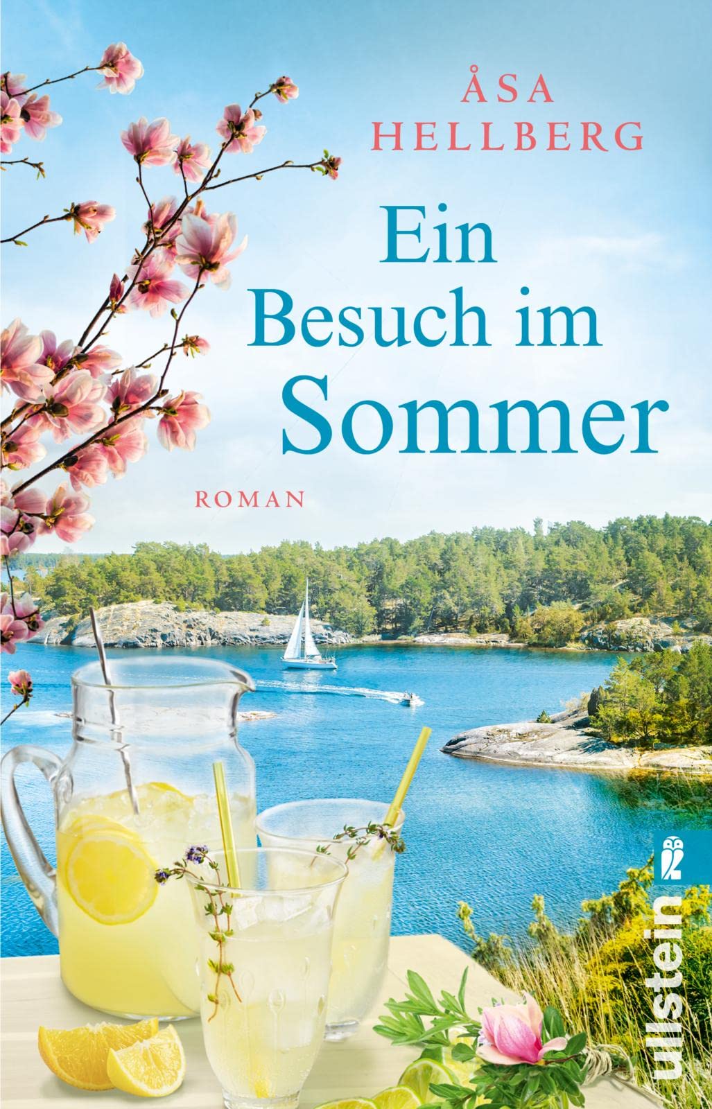 Ein Besuch im Sommer Contemporary literature Books