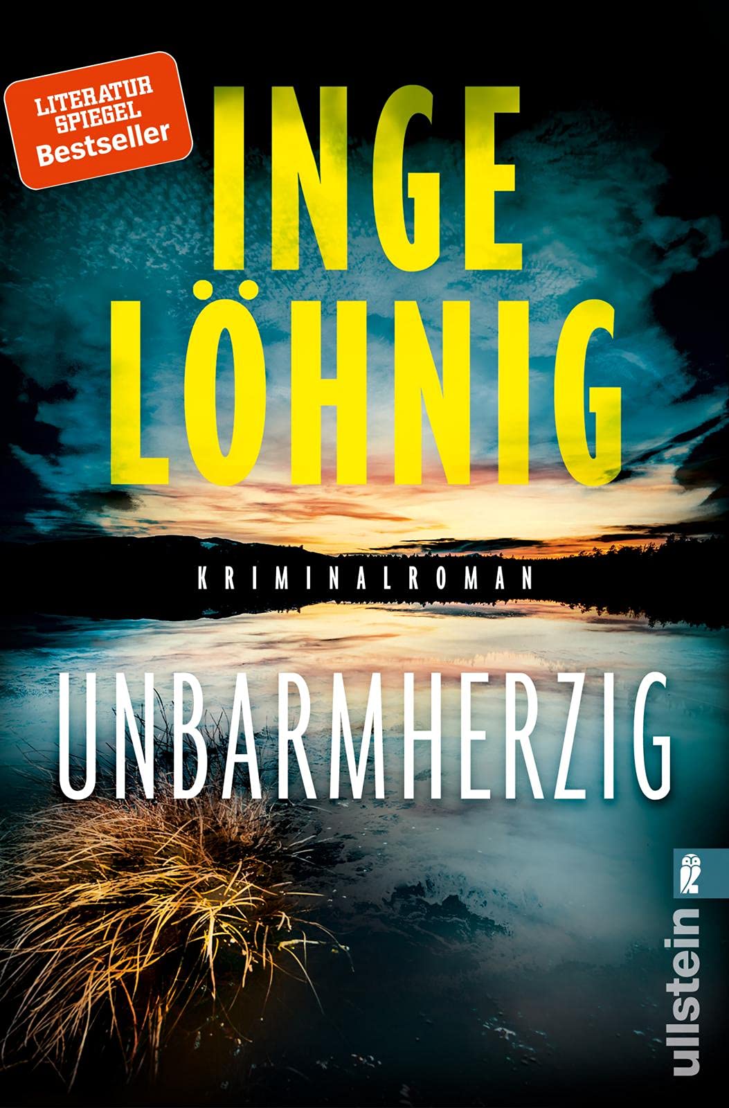 Unbarmherzig Contemporary literature Books