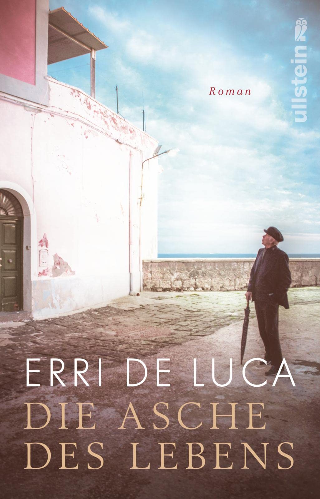 Die Asche des Lebens: Roman | Ein heiter melancholischer Roman über Freundschaft, Erinnerung und Einsamkeit Contemporary literature