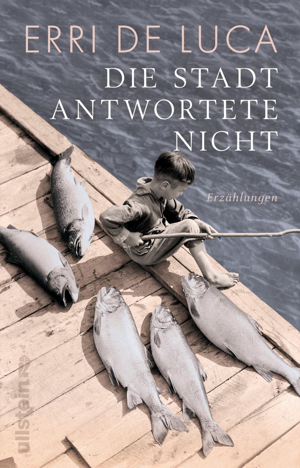 Die Stadt antwortete nicht Contemporary literature