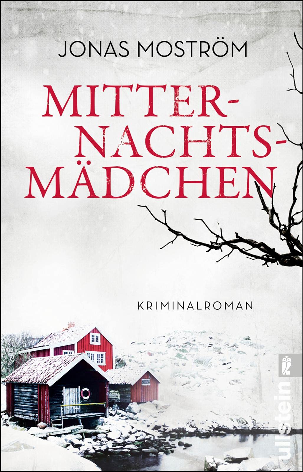 Mitternachtsmädchen Contemporary literature Books