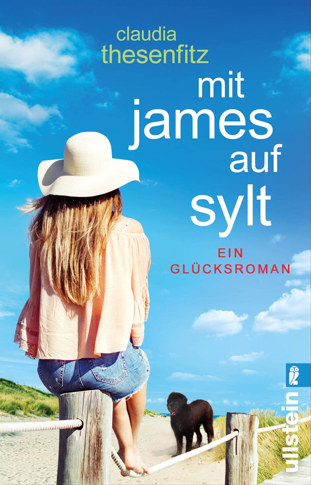 Mit James auf Sylt Contemporary literature