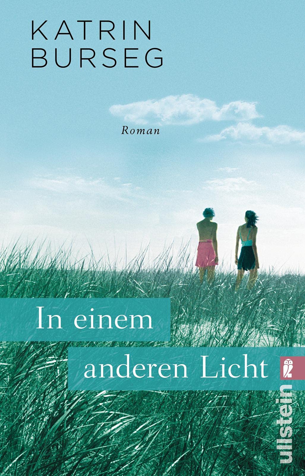 In einem anderen Licht: Roman Contemporary literature