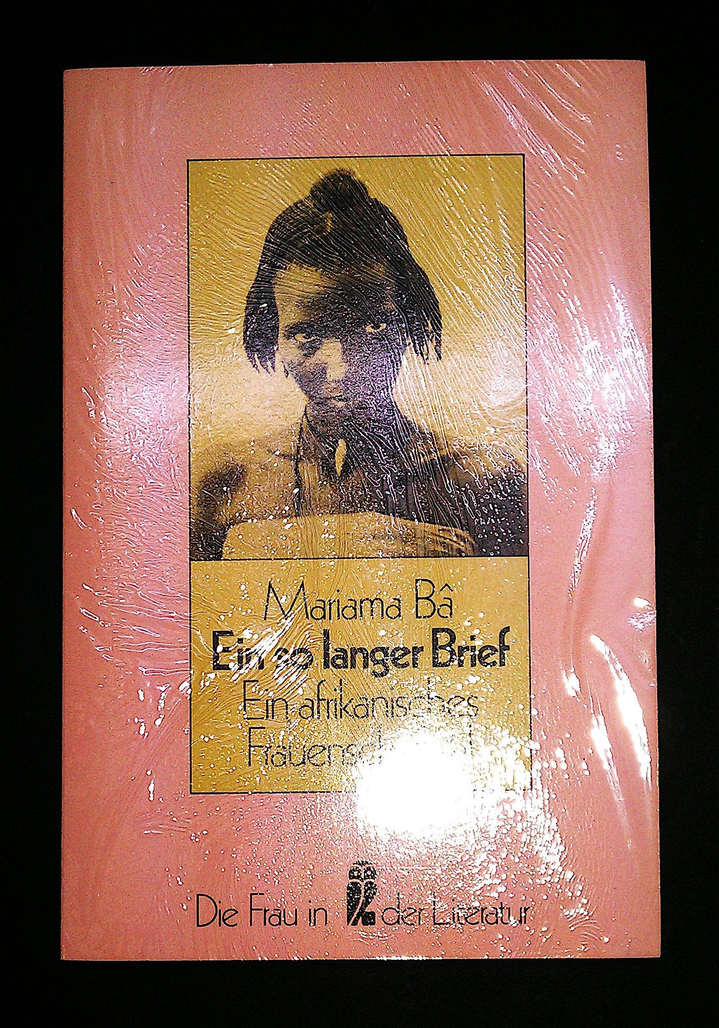Ein so langer Brief. Ein afrikanisches Frauenschicksal. Social Sciences
