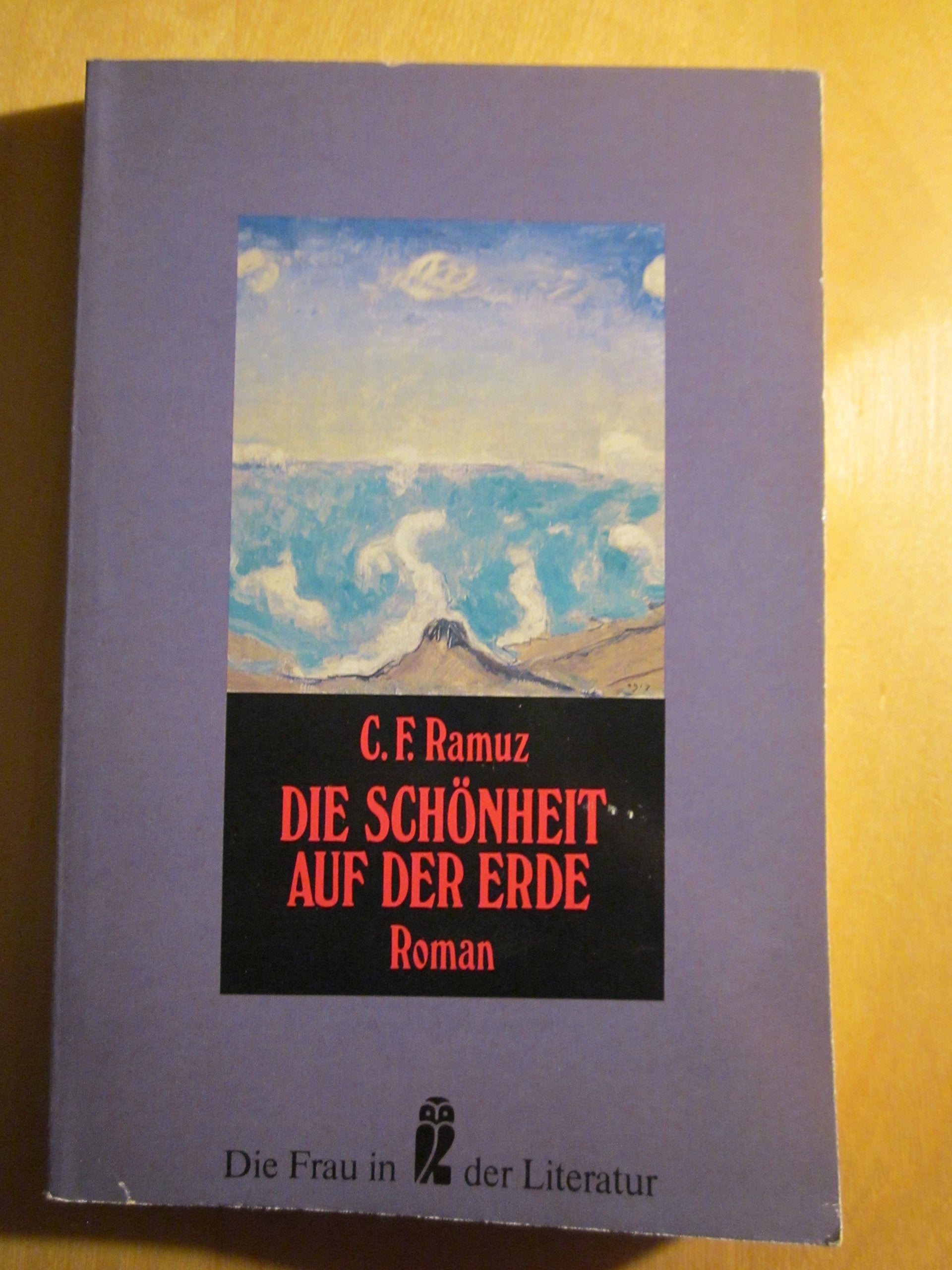 Die Schönheit auf der Erde (Ullstein Taschenbuch) Books