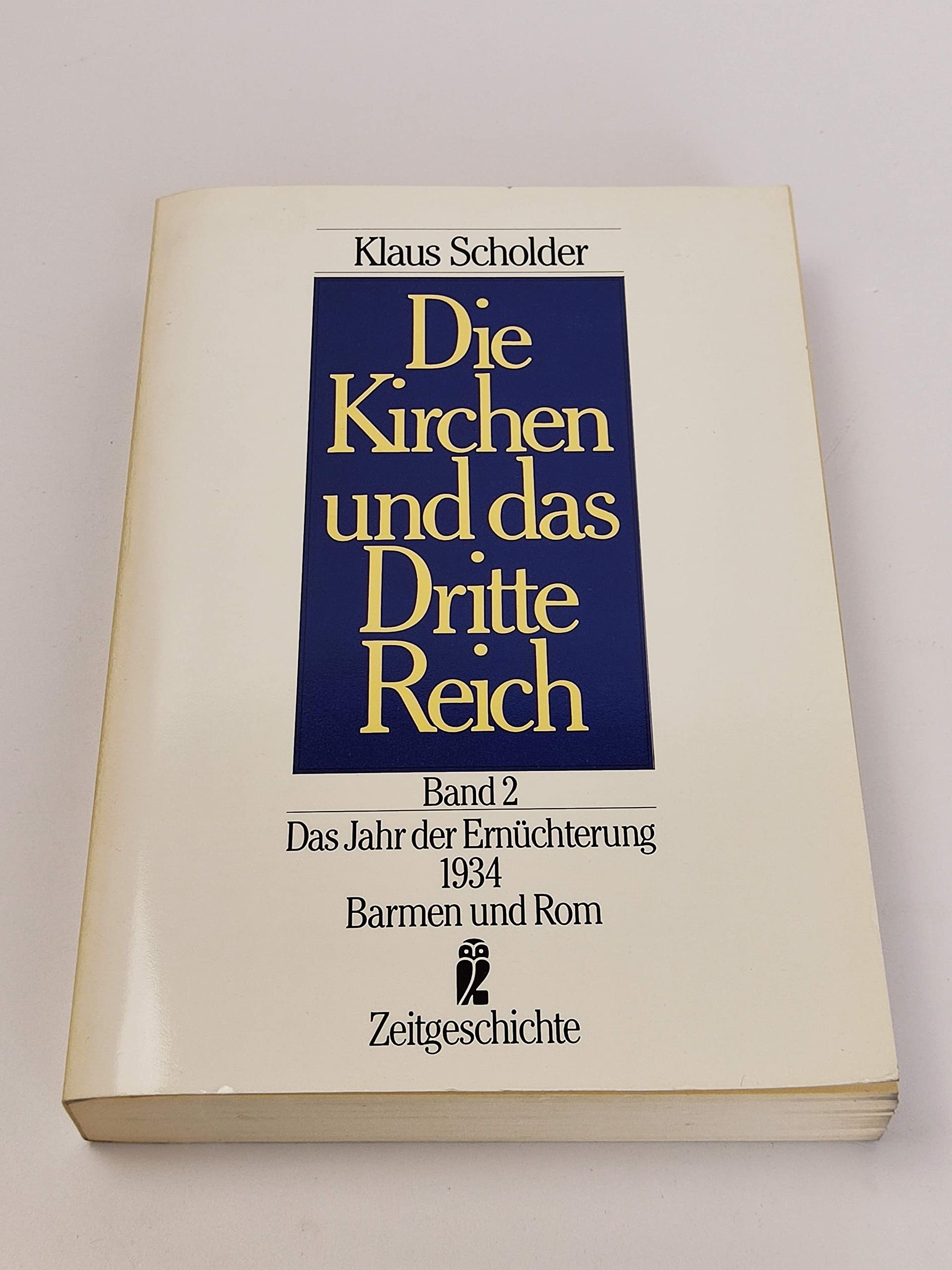 Die Kirchen und das Dritte Reich Politics & Society Books