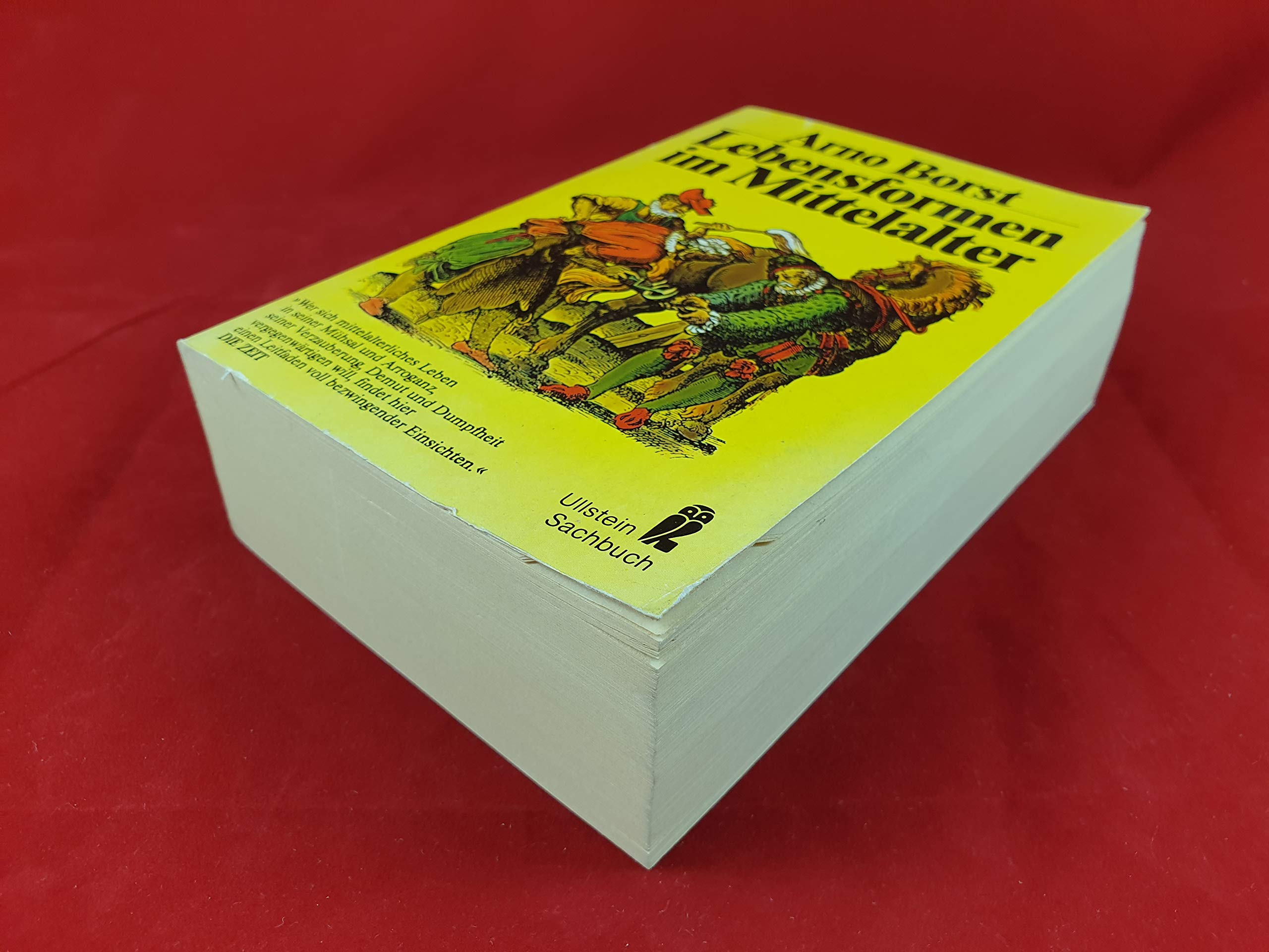 Lebensformen im Mittelalter Books