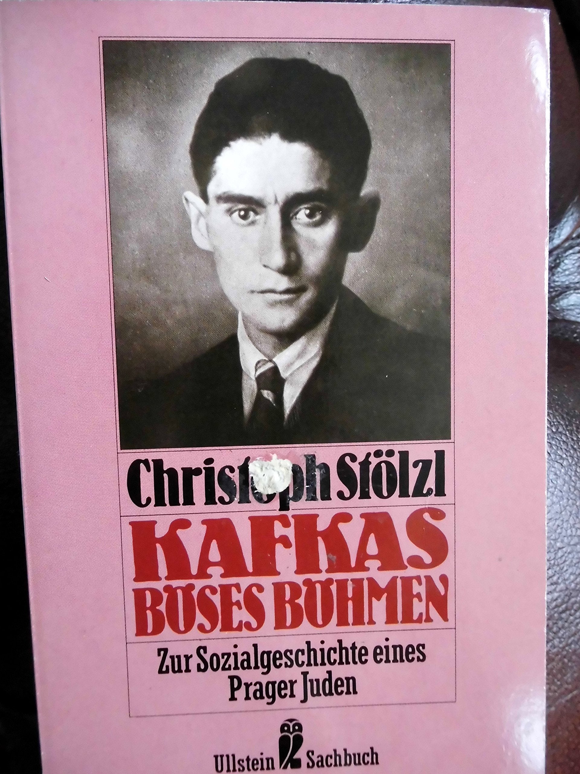 Kafkas böses Böhmen. Zur Sozialgeschichte eines Prager Juden. ( Sachbuch). Social Sciences