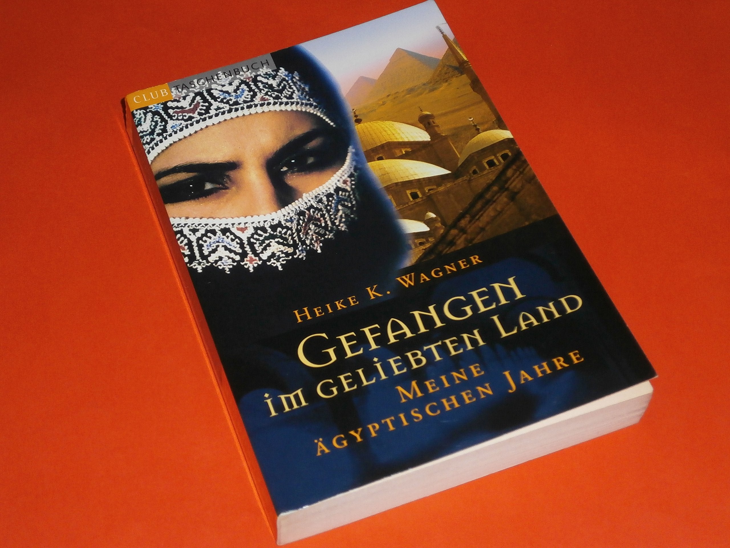 Gefangen im geliebten Land: Meine ägyptischen Jahre (Ullstein Taschenbuch) Science
