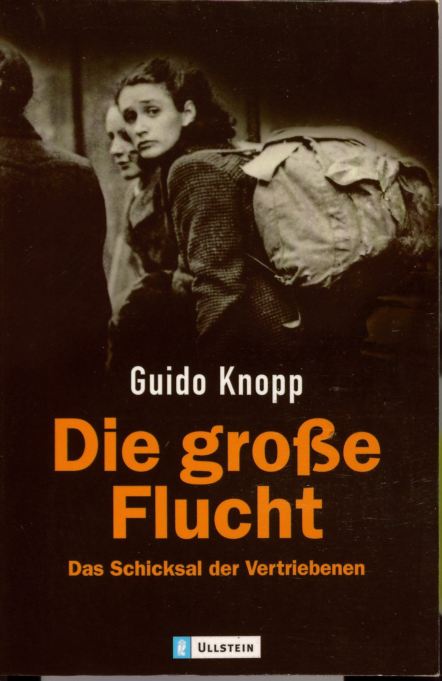 Die große Flucht Film, Art & Culture