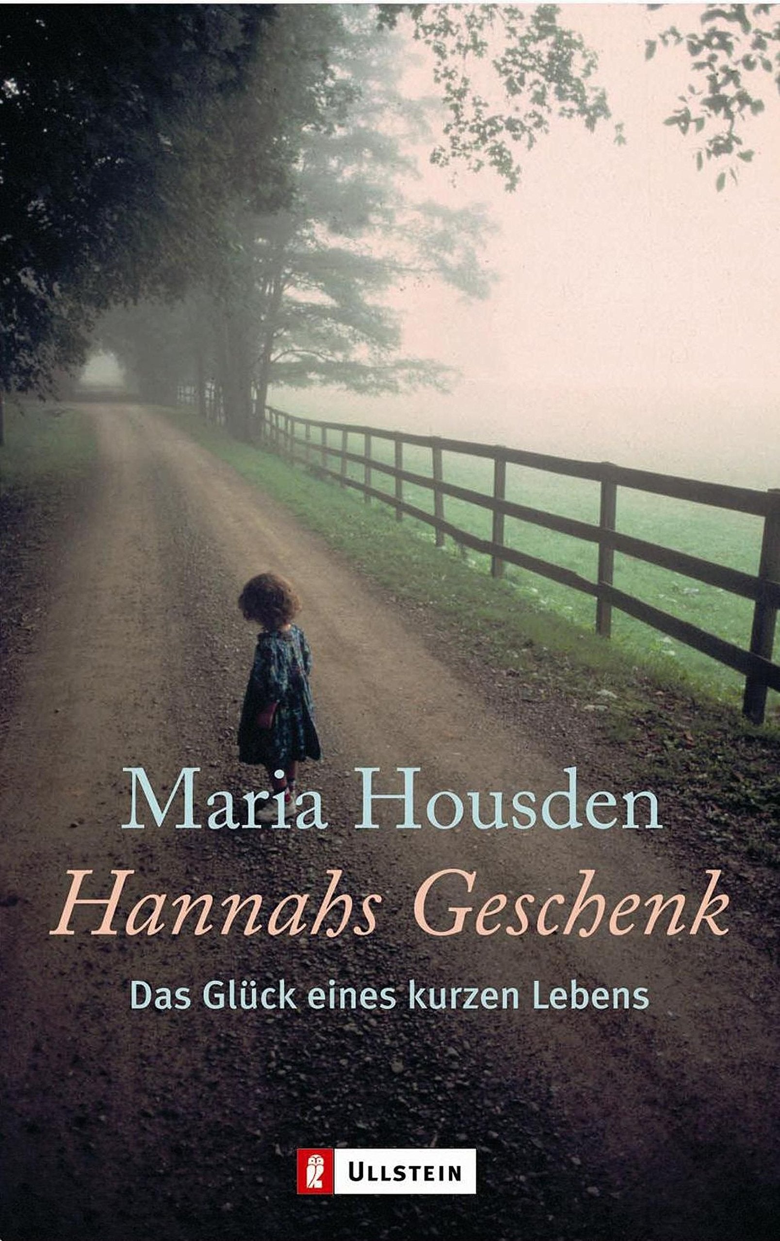 Hannahs Geschenk Fiction Books