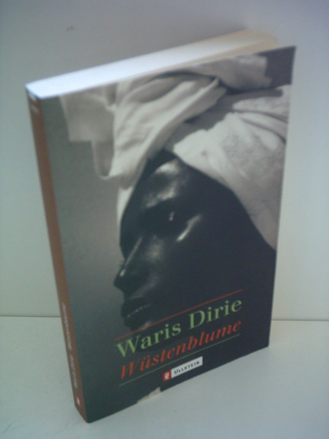 Wüstenblume (Ullstein Taschenbuch) Fiction Books