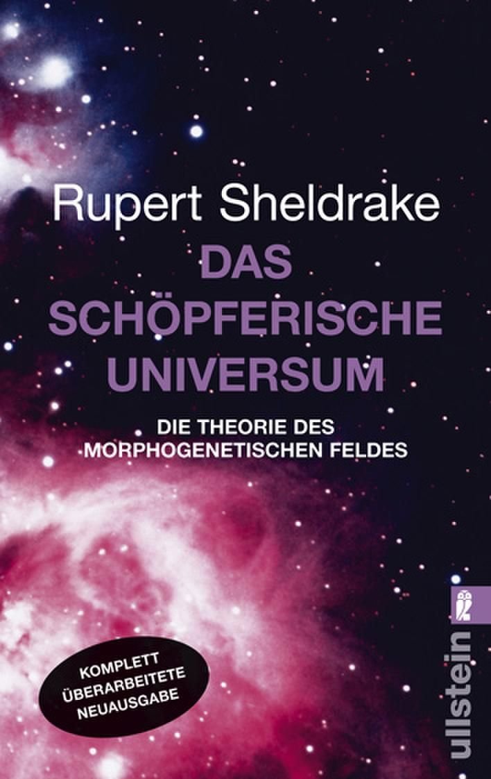 Das schöpferische Universum Mathematics Books