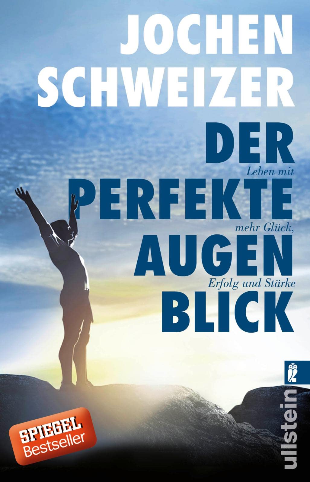 Der perfekte Augenblick Business, Finance & Career