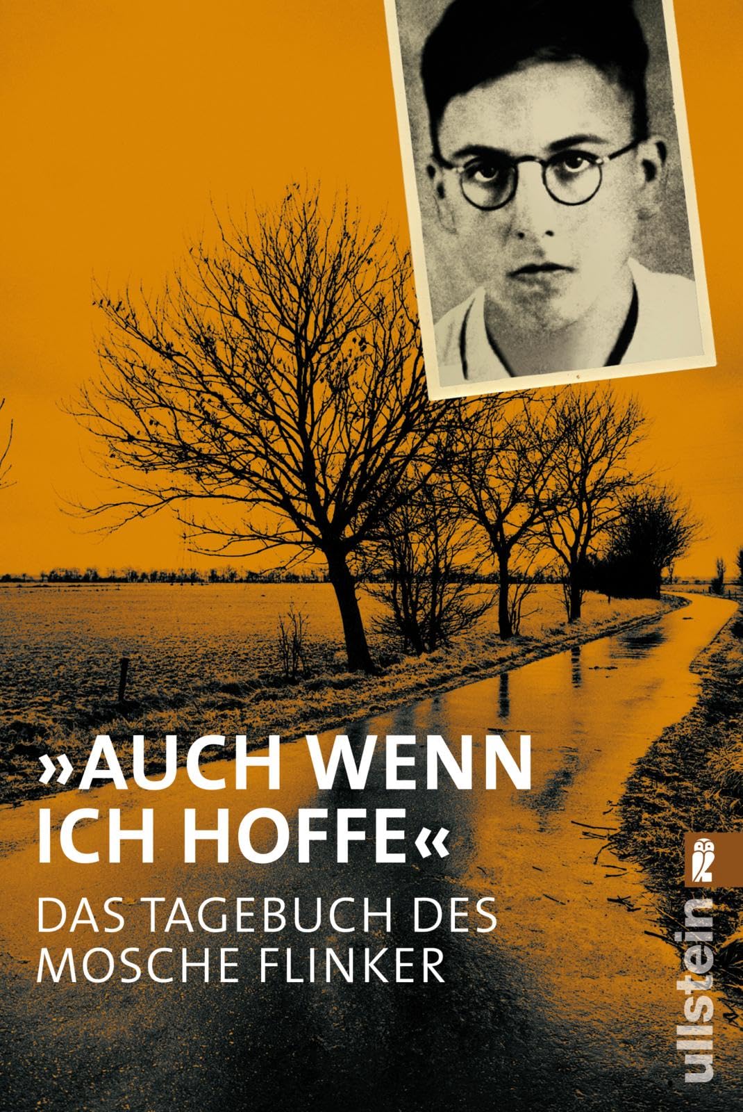 "Auch wenn ich hoffe" - Das Tagebuch von Mosche Flinker Contemporary literature Books
