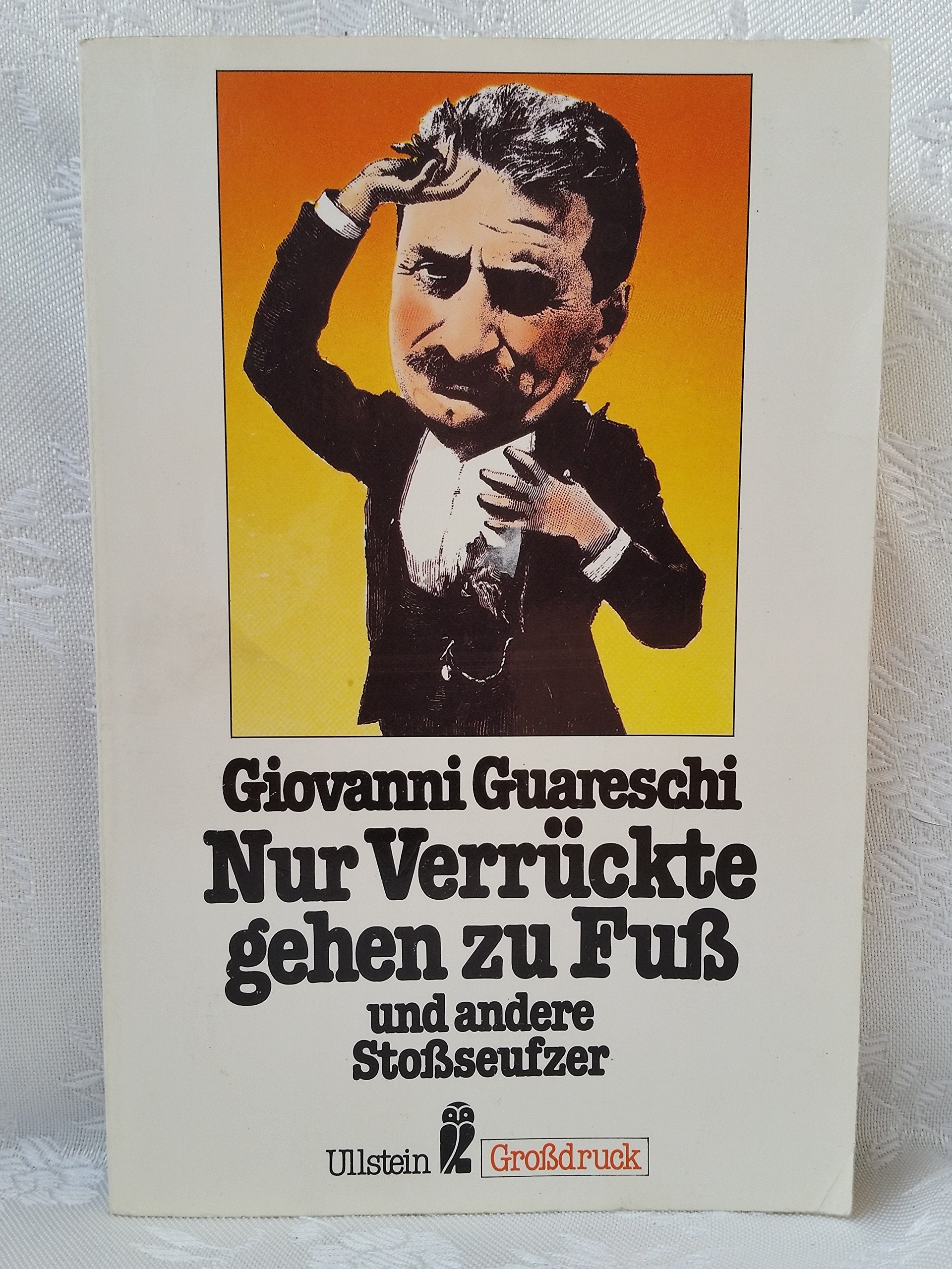 Nur Verrückte gehen zu Fuß und andere Stoßseufzer. Großdruck. Erzählungen. Fiction