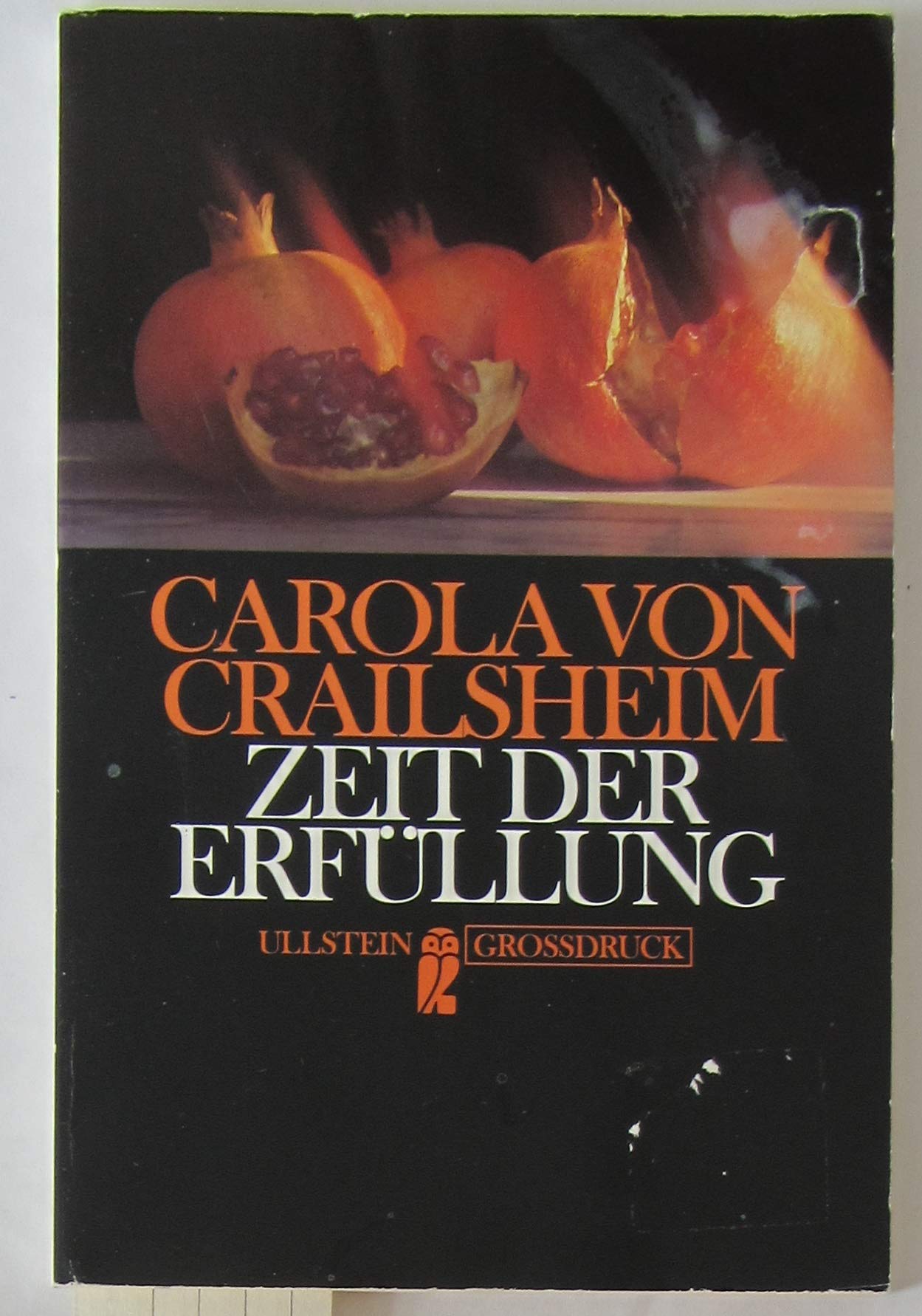 Zeit der Erfüllung. Großdruck. Fiction Books