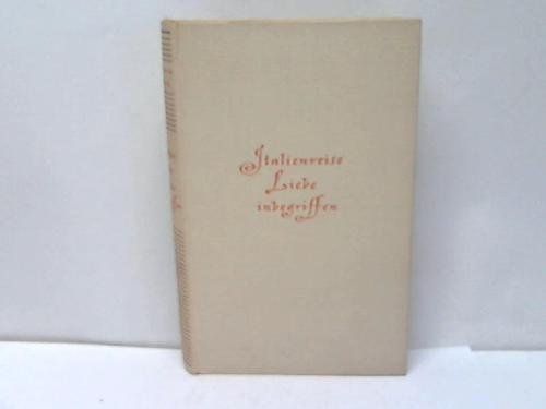 Italienreise, Liebe inbegriffen. Großdruck. Ein Roman, in dem es munter zugeht. Fiction