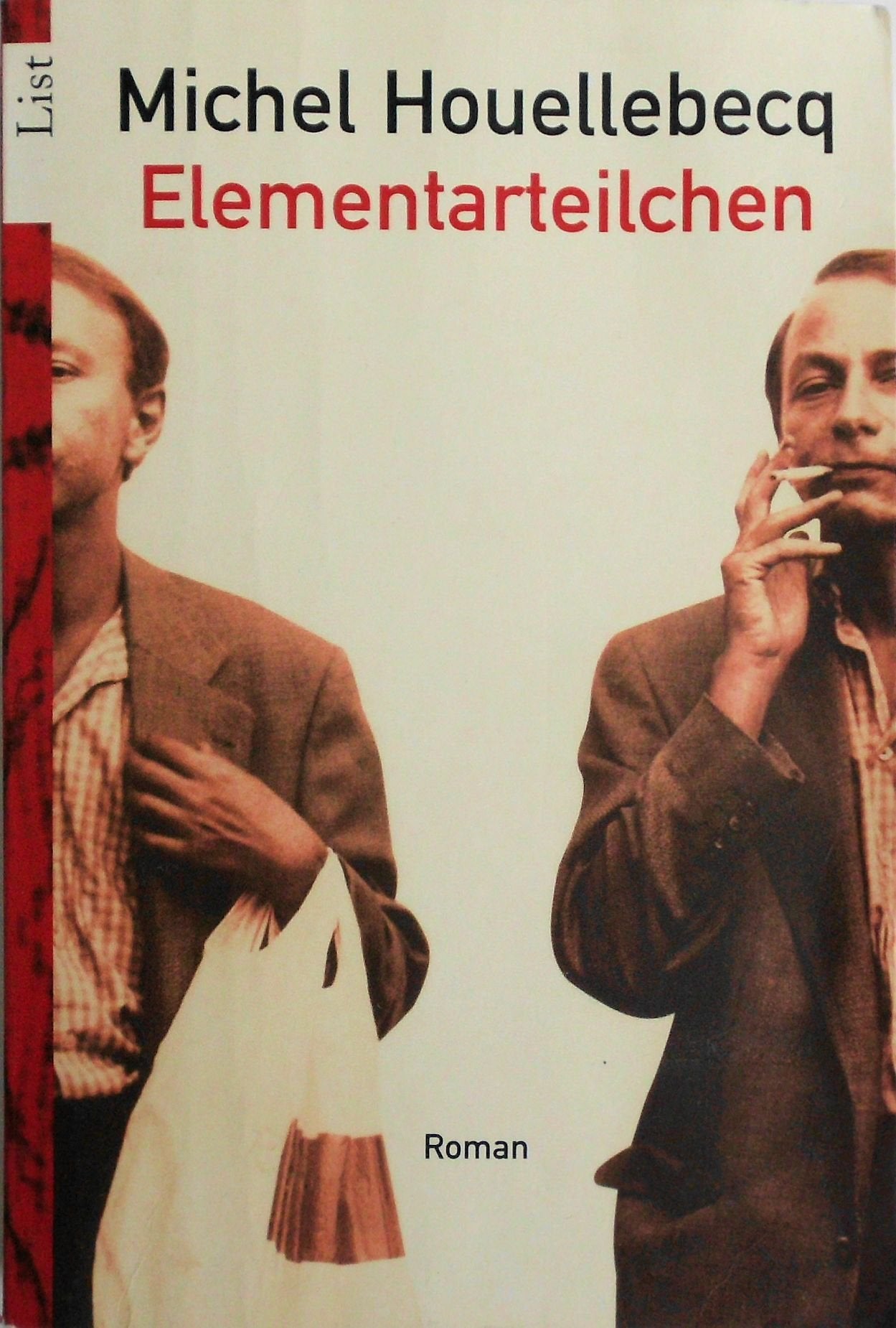 Elementarteilchen: Roman Contemporary literature Books