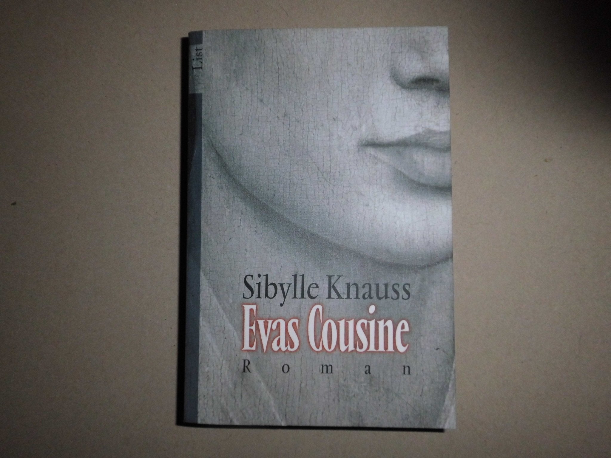 Evas Cousine Contemporary literature Books