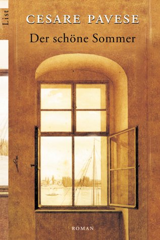 Der schöne Sommer Contemporary literature Books