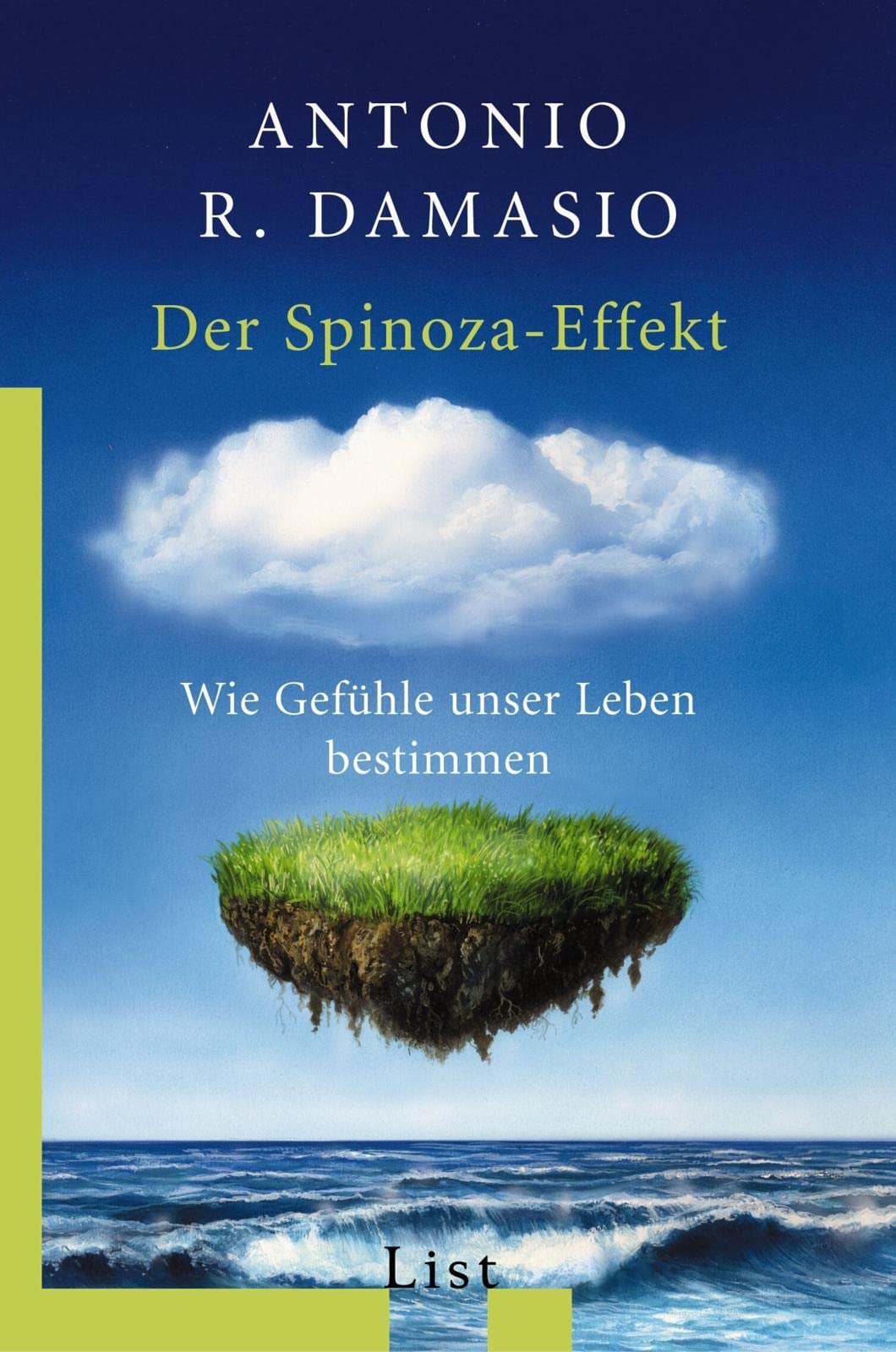 Der Spinoza-Effekt Philosophy Books