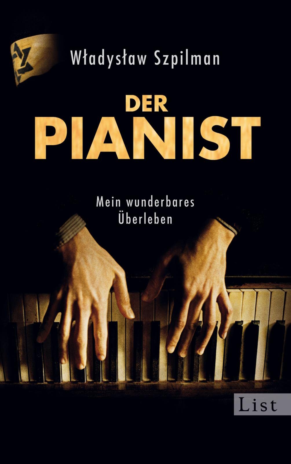 Der Pianist Pop culture