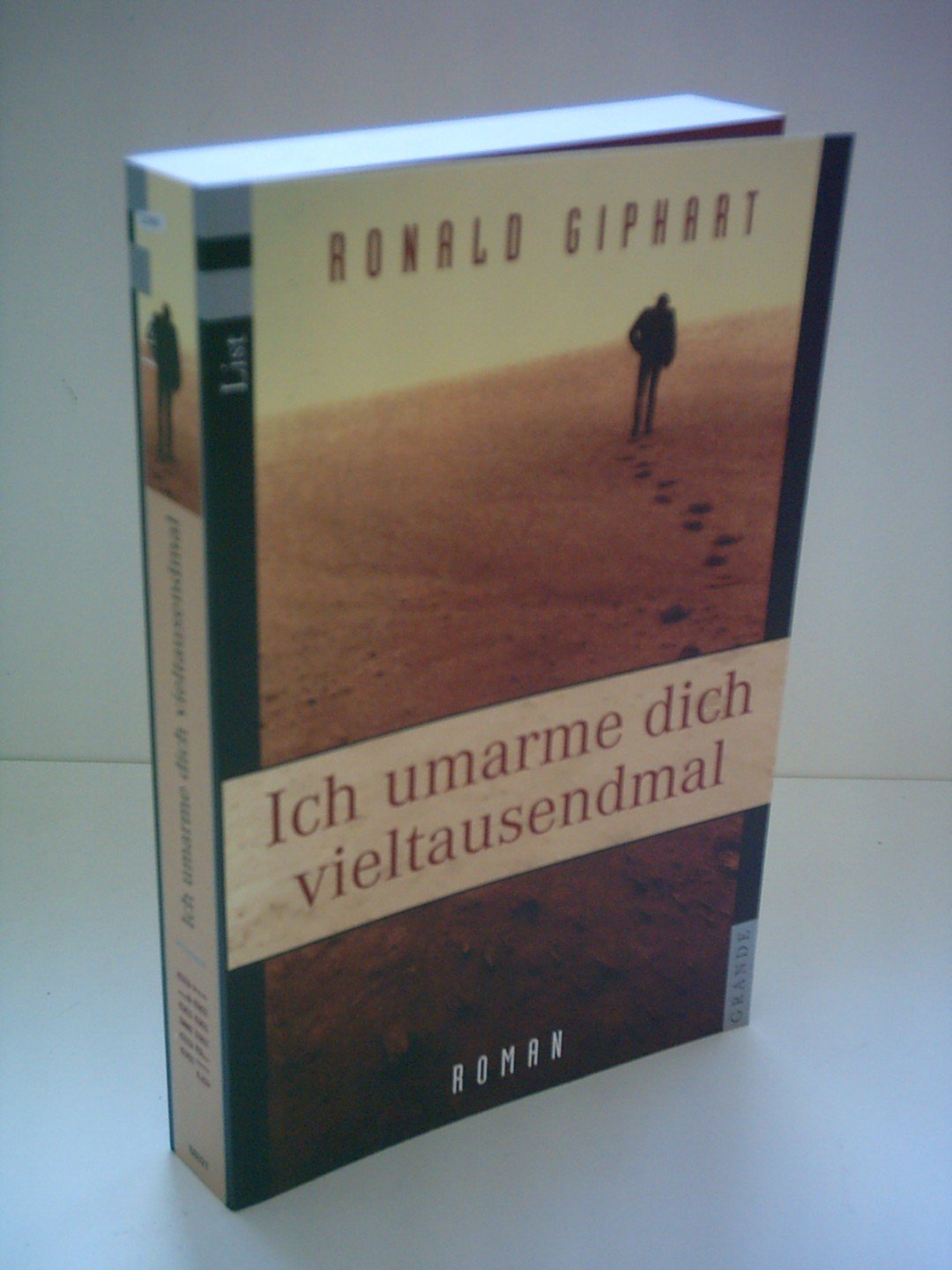 Ich umarme dich vieltausendmal: Roman. Aus d. Niederländ. v. Rolf Erdorf Books
