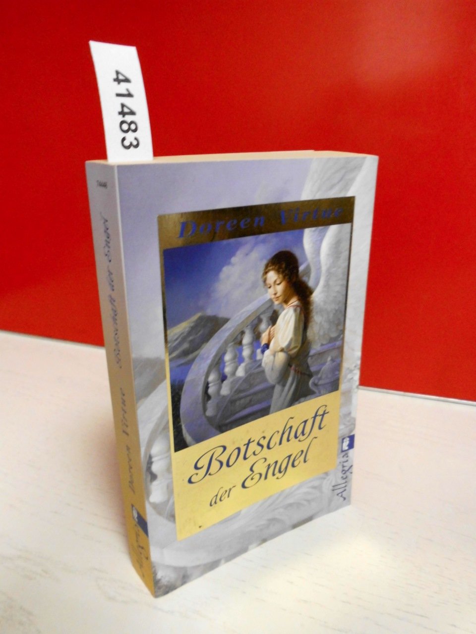 Botschaft der Engel Books