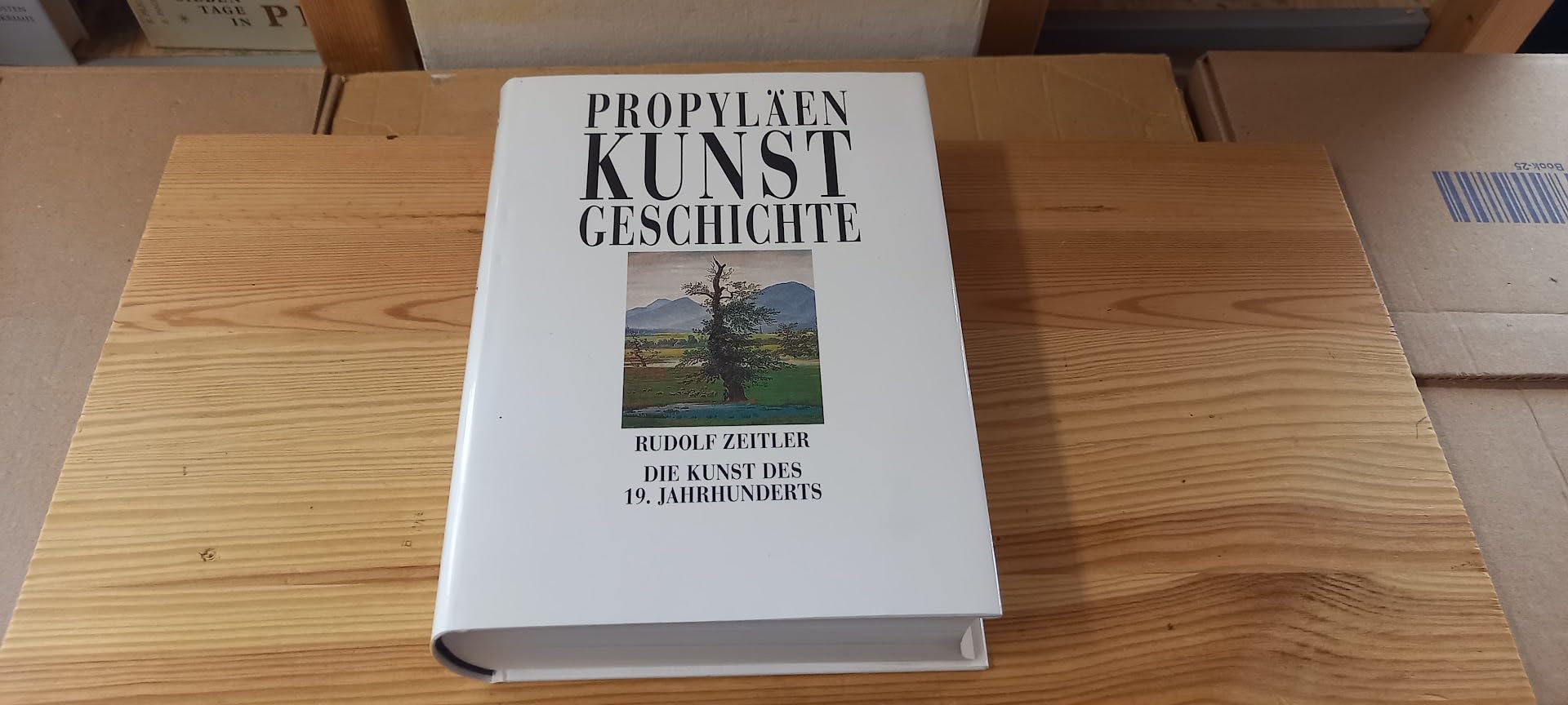 Propyläen Kunstgeschichte Bd. 11 Die Kunst des 19. Jahrhunderts. Books