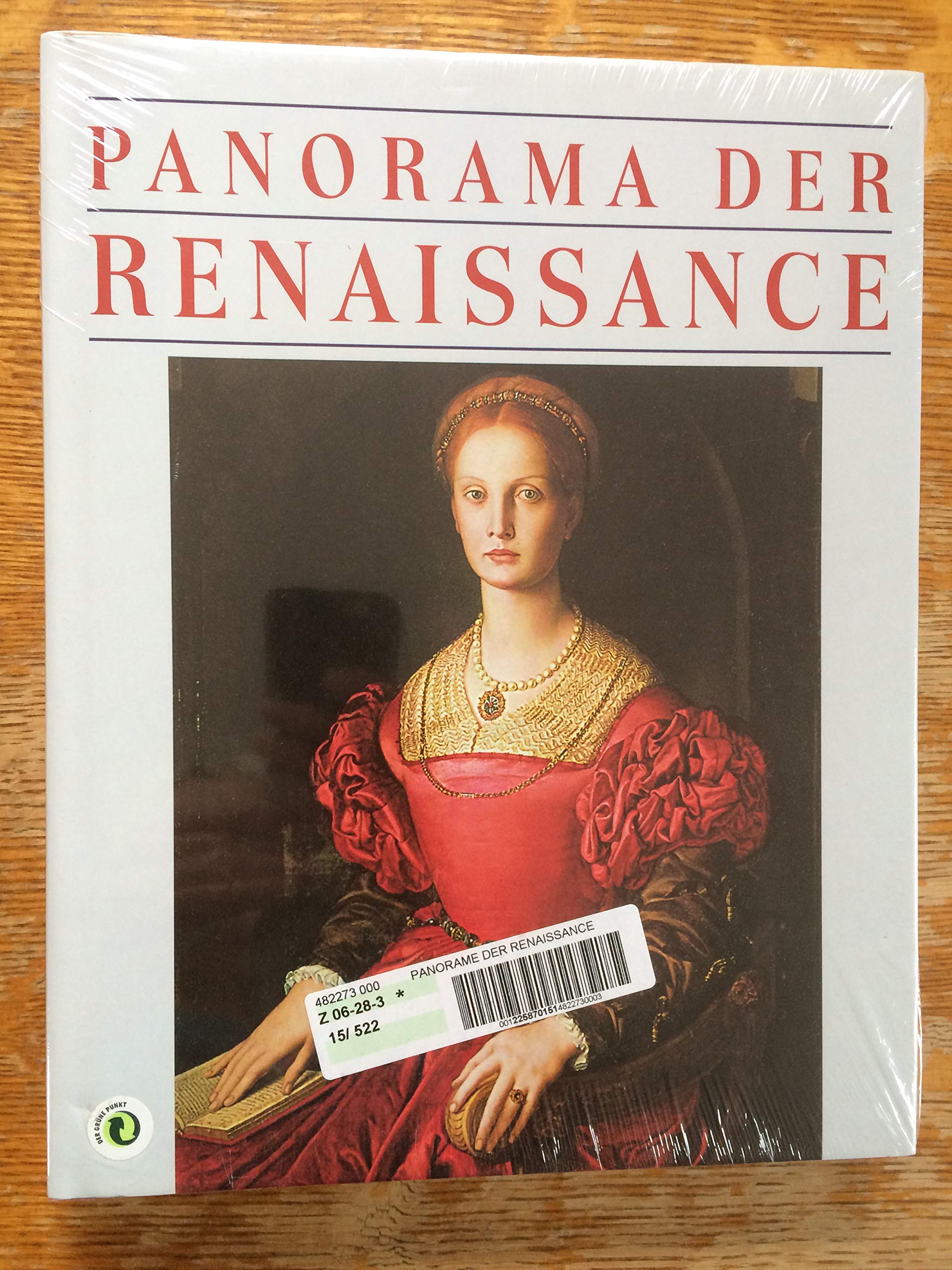 Panorama der Renaissance Politics & History books