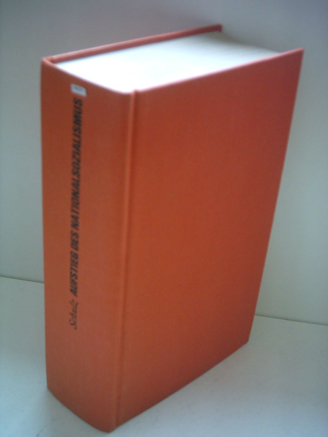 Aufstieg des Nationalsozialismus. Krise und Revolution in Deutschland Politics & History